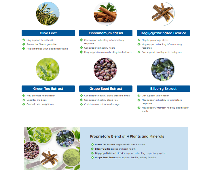 Neuro Serge Review 2026