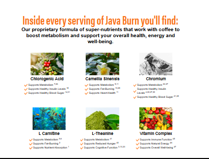 Morning Coffee Ritual Review 2026