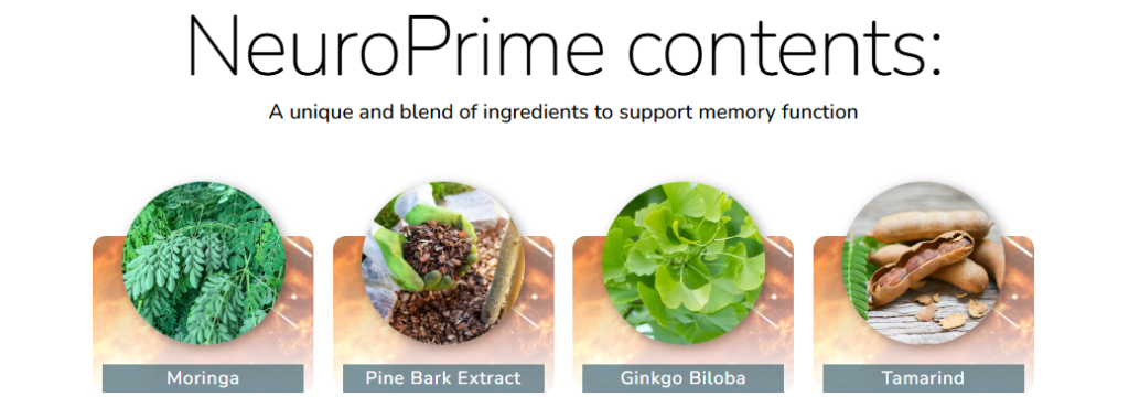 NeuroPrime